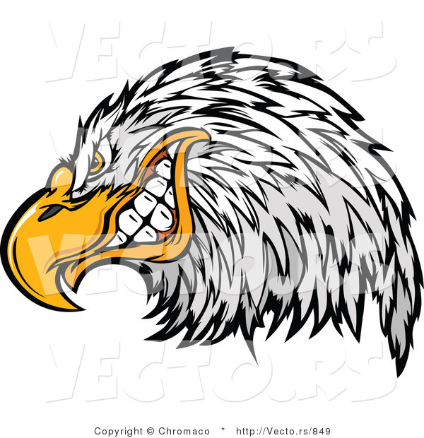 Vector of a Cartoon Bald Eagle Mascot Grinning