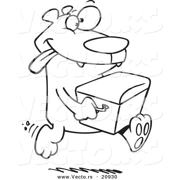 Vector of a Cartoon Bear Stealing a Cooler - Coloring Page Outline