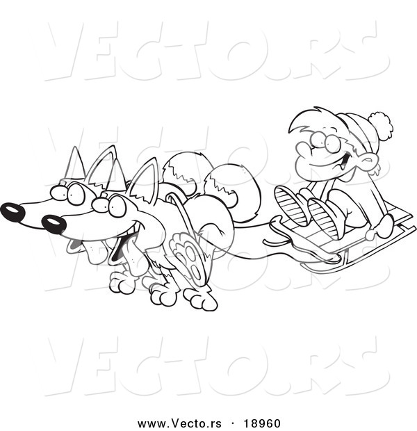 Vector of a Cartoon Black and White Outline Design of Huskies Pulling a Boy on a Sled - Outlined Coloring Page