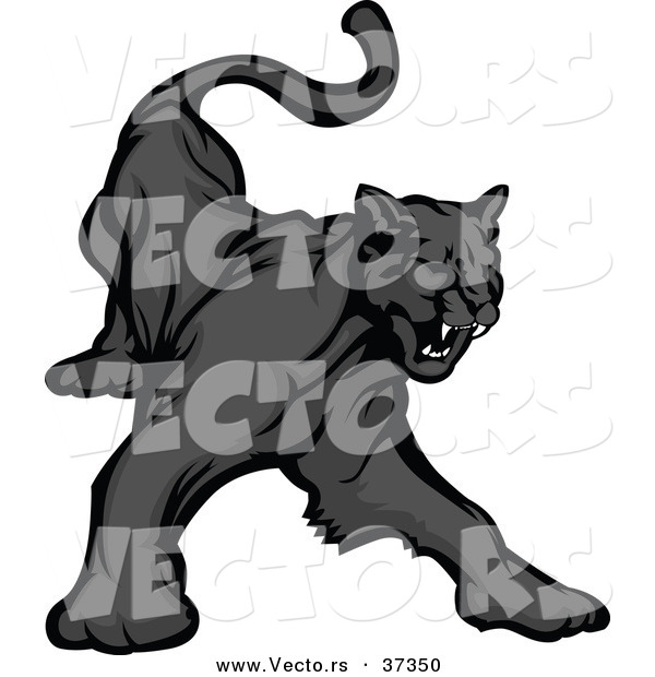 Vector of a Cartoon Black Panther Growling