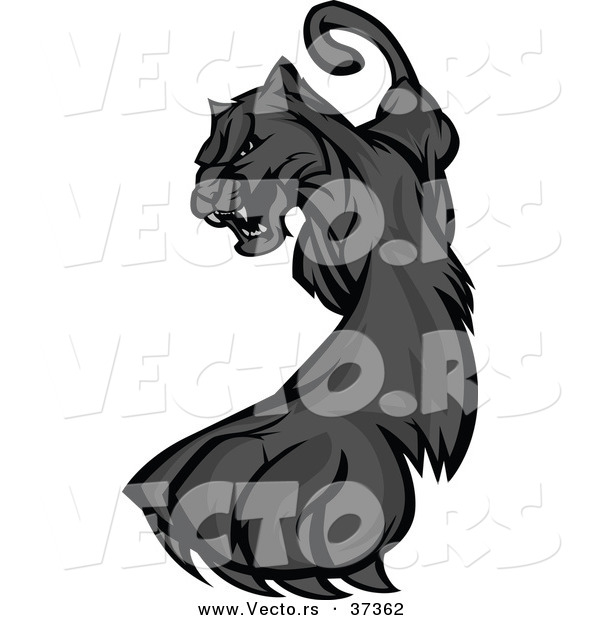 Vector of a Cartoon Black Panther Striking out with Its Paw and Claws