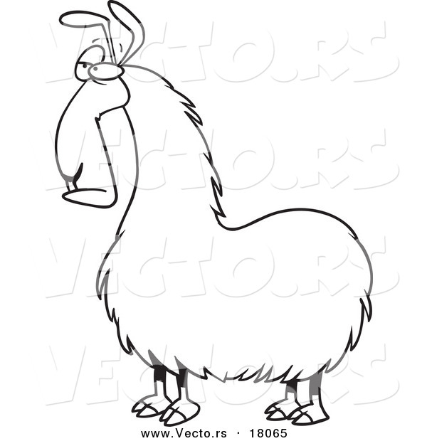 Vector of a Cartoon Bored Llama - Outlined Coloring Page