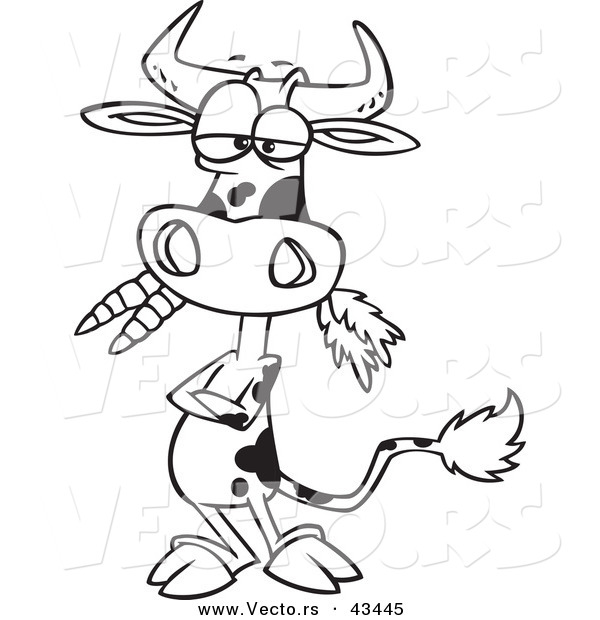 Vector of a Cartoon Cow Eating Carrots with Arms Crossed - Coloring Page Outline