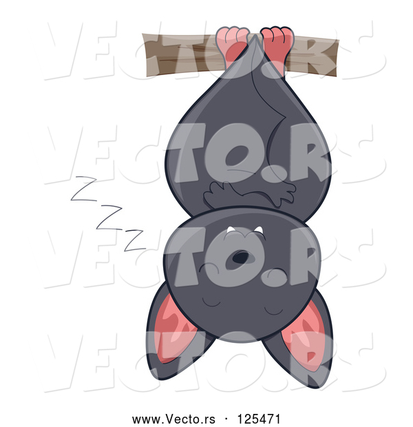 Vector of a Cartoon Cute Gray Bat Sleeping Upside down
