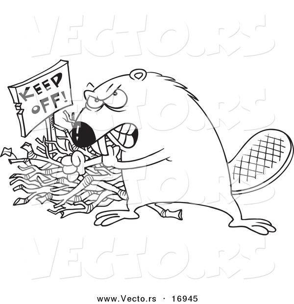Vector of a Cartoon Defensive Beaver Guarding His Stick Pile - Coloring Page Outline