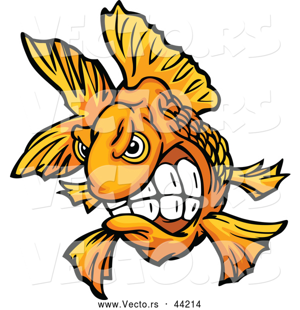 Vector of a Cartoon Fighter Goldfish with Teeth