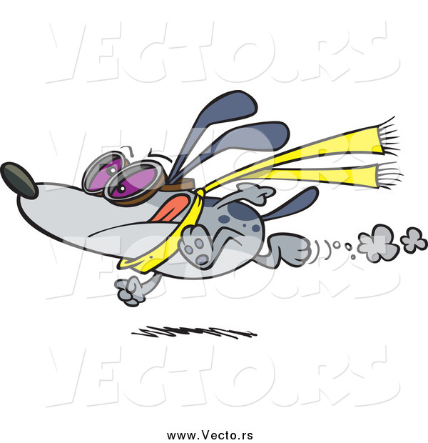 Vector of a Cartoon Gray Race Dog Running and Wearing Goggles