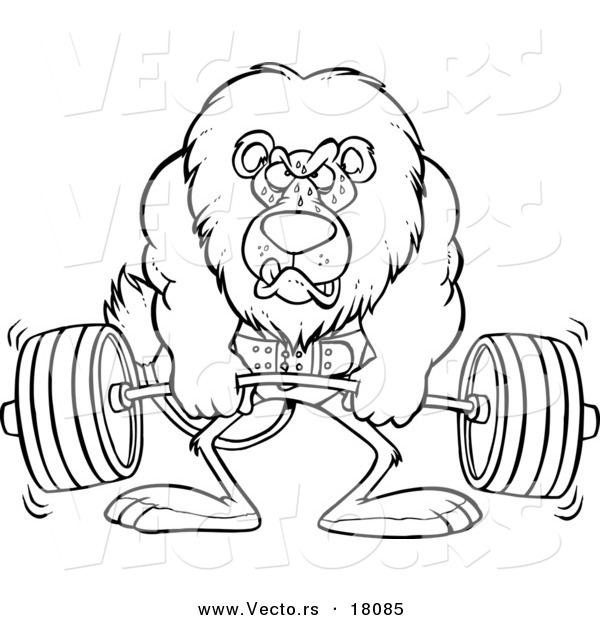 Vector of a Cartoon Lion Weightlifting - Outlined Coloring Page