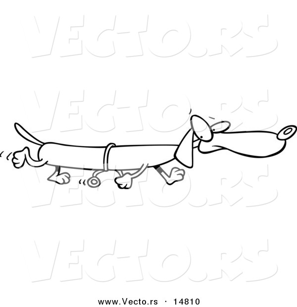 Vector of a Cartoon Long Wiener Dog Using Training Wheels - Coloring Page Outline