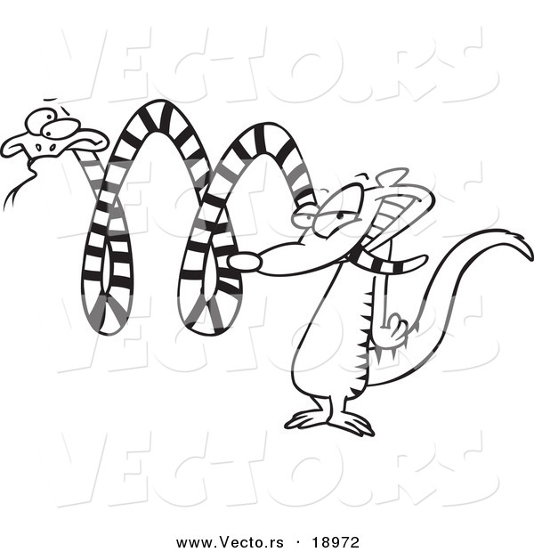 Vector of a Cartoon Mongoose Attacking a Snake - Outlined Coloring Page