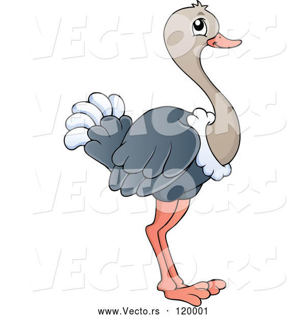 Vector of a Cartoon Ostrich