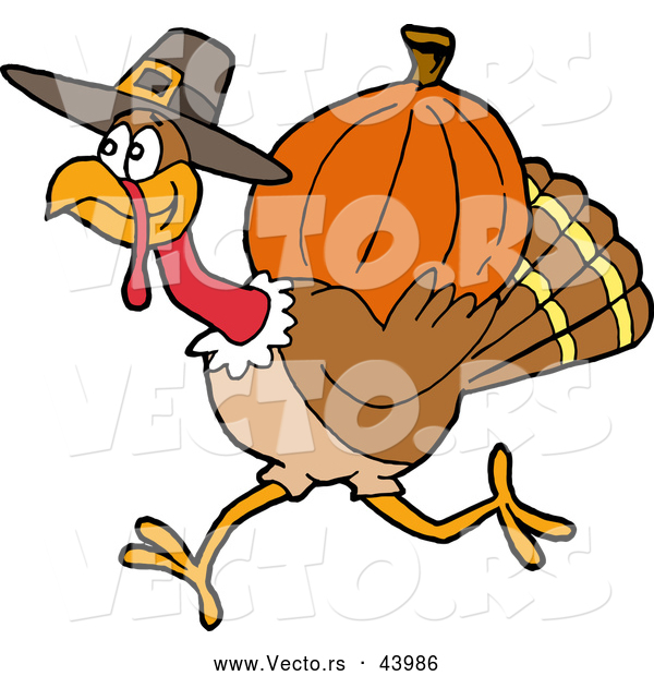 Vector of a Cartoon Pilgrim Turkey Carrying a Pumpkin for Thanksgiving