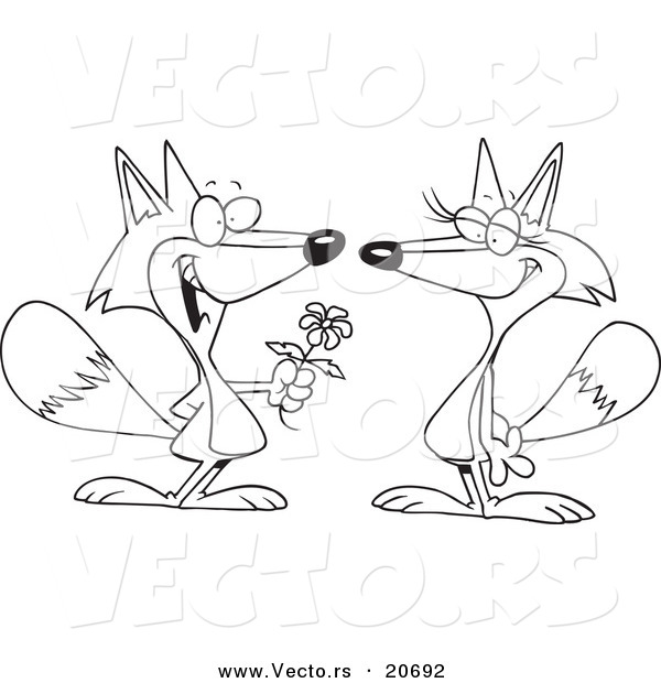 Vector of a Cartoon Romantic Fox Giving His Mate a Flower - Coloring Page Outline