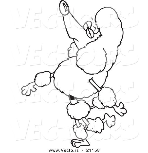 Vector of a Cartoon Snobbish Poodle Walking Upright - Coloring Page Outline