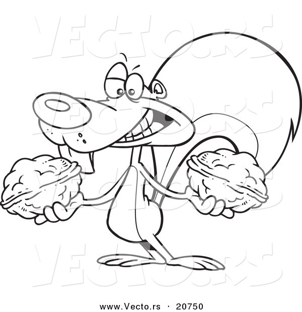 Vector of a Cartoon Squirrel Holding Two Nuts - Coloring Page Outline
