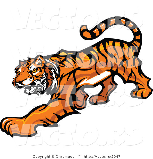 Vector of a Cartoon Tiger Slowly Stalking
