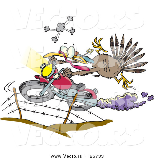 Vector of a Cartoon Turkey Jumping over Fence on a Motorcycle