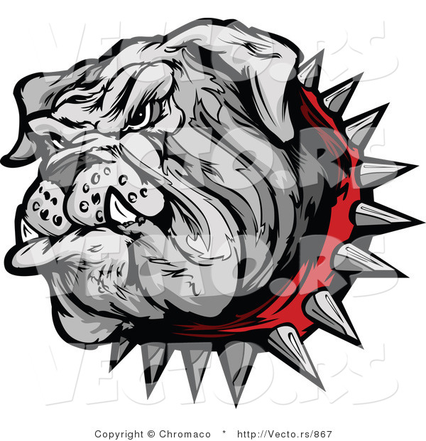 Vector of a Combative Cartoon Bulldog Mascot Wearing Spiked Red Collar