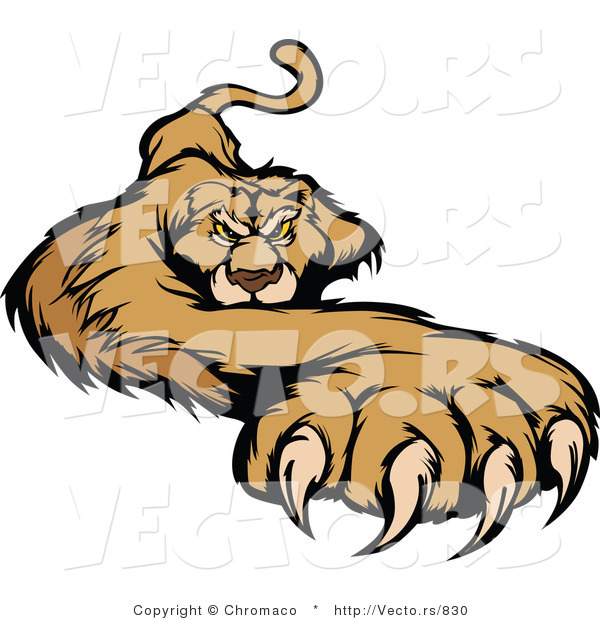 Vector of a Competitive Cougar Preparing to Attack with Claws out
