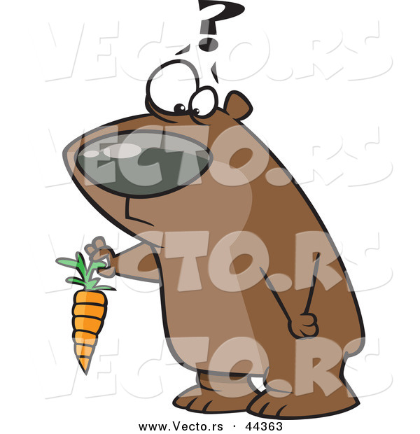 Vector of a Confused Cartoon Bear Holding a Carrot