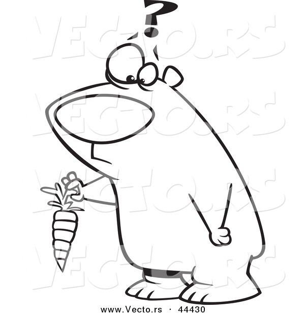 Vector of a Confused Cartoon Bear Holding a Carrot - Coloring Page Outline