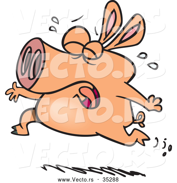 Vector of a Crying Cartoon Pig Running Fast