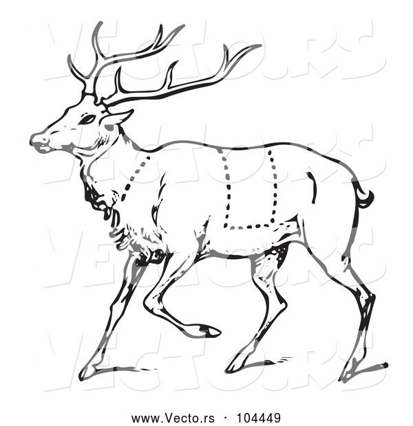 Vector of a Deer with Butcher Sections of Venison Cuts - Black Lineart