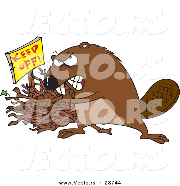 Vector of a Defensive Beaver Guarding His Stick Pile