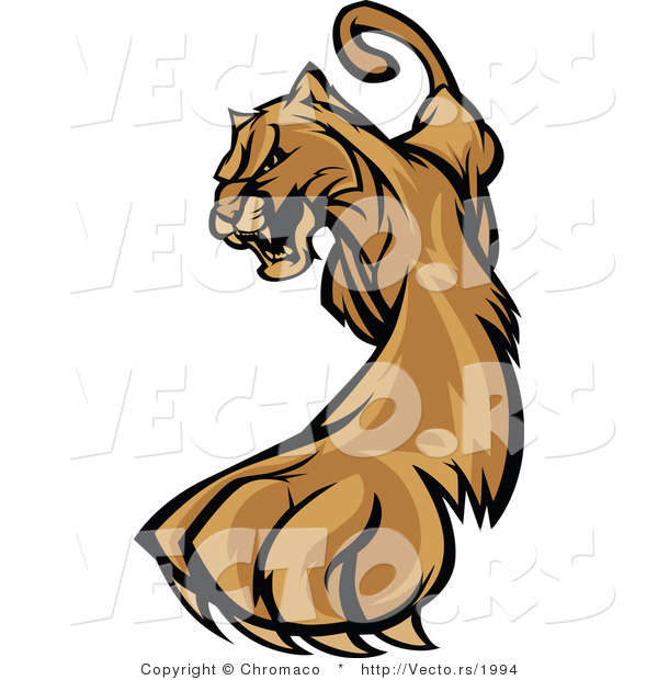 Vector of a Defensive Cartoon Cougar Cautiously Walking Forward While Growling
