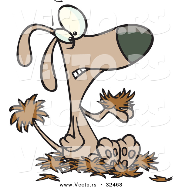 Vector of a Dog with Alopecia, Sitting on a Pile of Hair