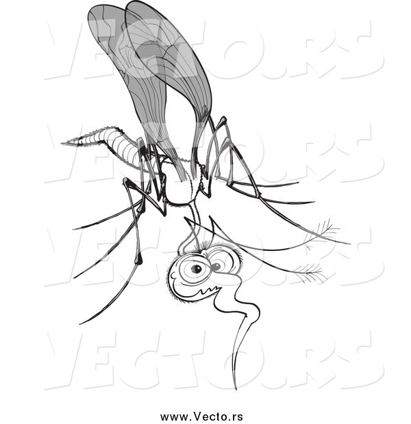 Vector of a Goofy Grayscale Mosquito