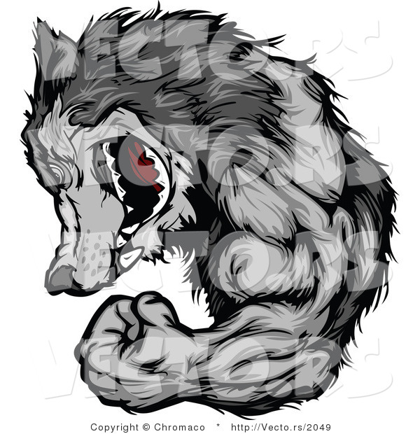 Vector of a Gray Wolf Mascot Display Strength While Flexing Muscles and Grinning