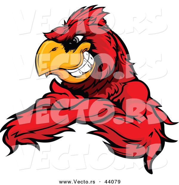 Vector of a Grinning Cartoon Red Cardinal Bird Mascot with Arms Crossed