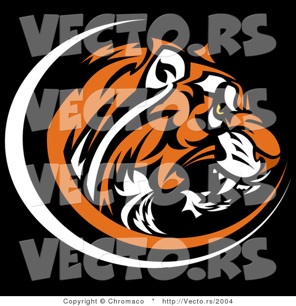 Vector of a Growling Tiger on Black Background