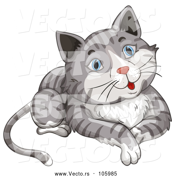 Vector of a Happy Blue Eye, Gray Tabby Cat
