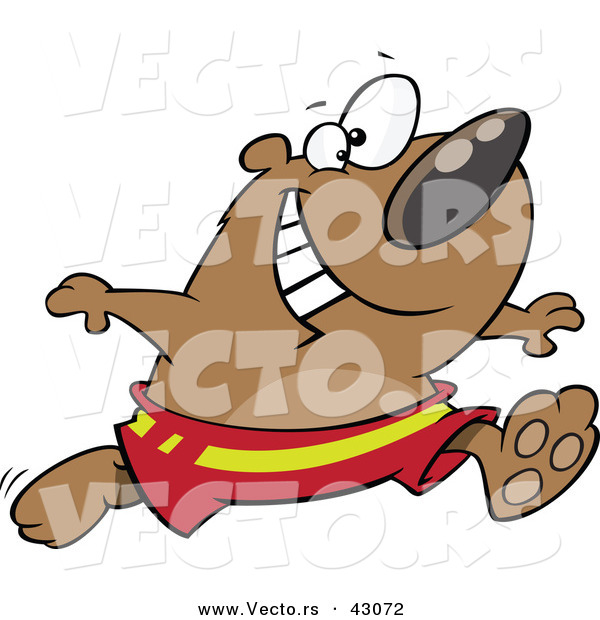 Vector of a Happy Cartoon Bear Running in Swim Shorts