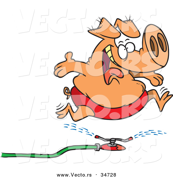 Vector of a Happy Pig Leaping over Water Sprinkler - Cartoon Design