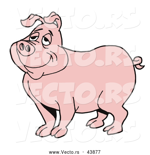 Vector of a Happy Pink Pig Daydreaming