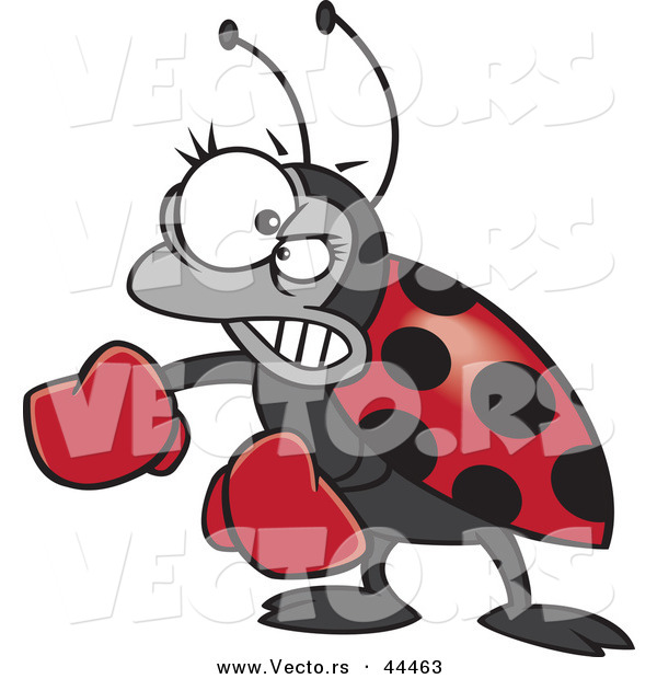 Vector of a Mad Cartoon Ladybug Wearing Boxing Gloves