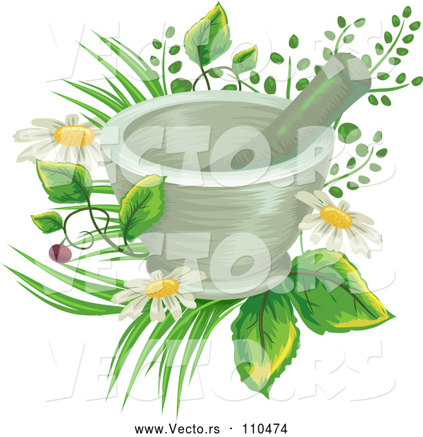 Vector of a Mortar and Pestle over Flowers and Medicinal Plants