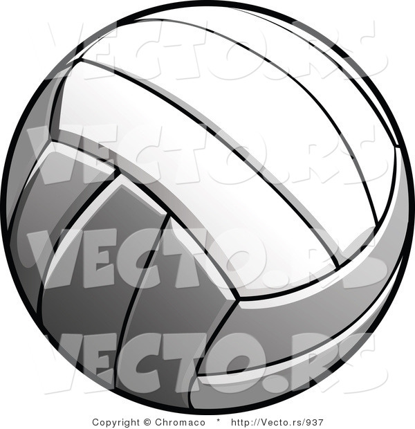 Vector of a New Volleyball