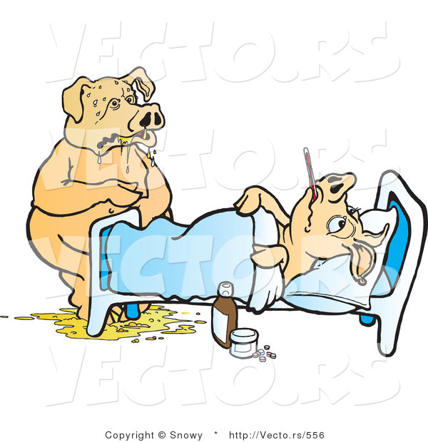 Vector of a Sick Pig Family