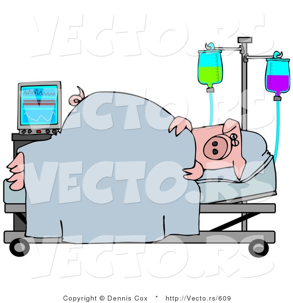 Vector of a Sick Pig Laying in a Hospital Bed