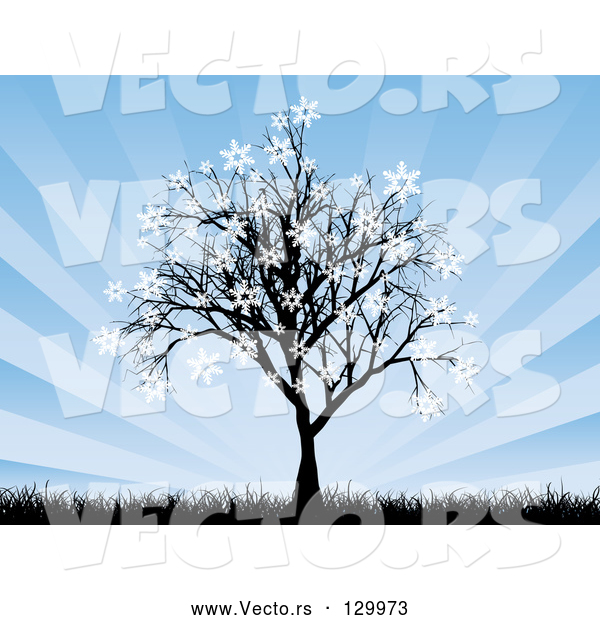 Vector of a Silhouetted Tree with Snowflakes Sticking to the Tips of the Branches, with Tall Grasses and a Bursting Blue Background