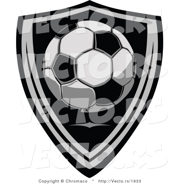 Vector of a Soccer Ball over a Shield
