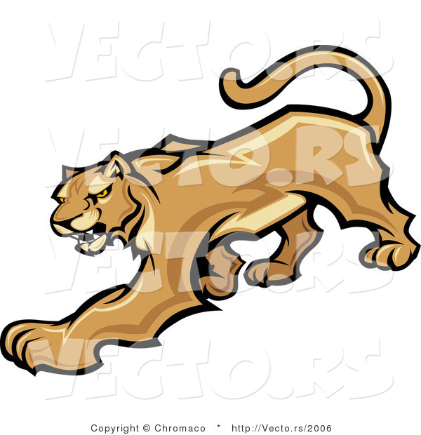 Vector of a Stalking Cougar Preparing to Attack