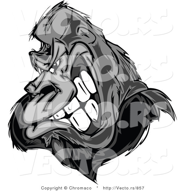 Vector of a Strong Gorilla Gritting Teeth - Grayscale