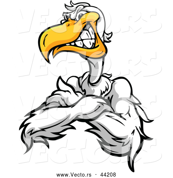 Vector of a Tough Cartoon Pelican Mascot Posing with Crossed and a Grinning Facial Expression