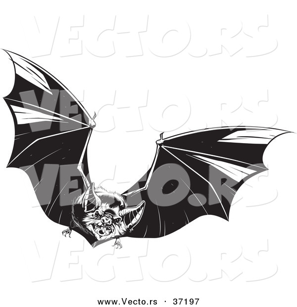 Vector of a Vampire Flapping Its Wings in the Sky - Black and White Halloween Line Art