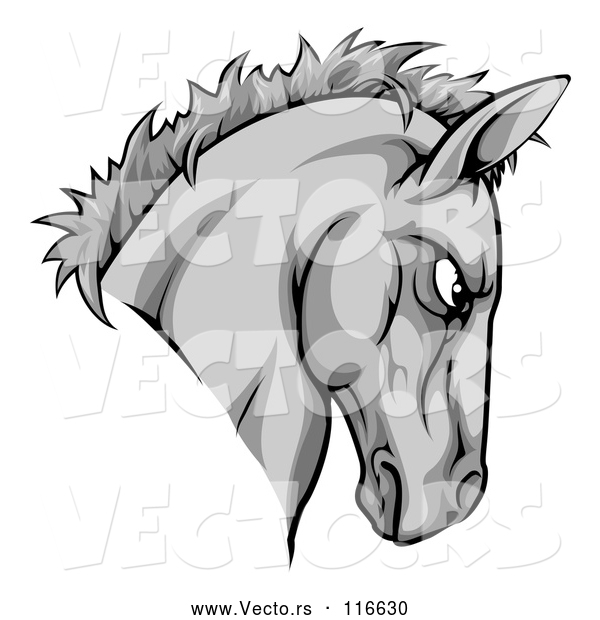 Vector of Aggressive Gray Horse Mascot Head